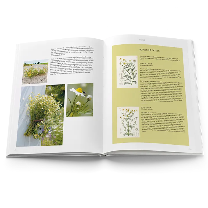 Buch Mit der Sprache der Blumen Innenansicht